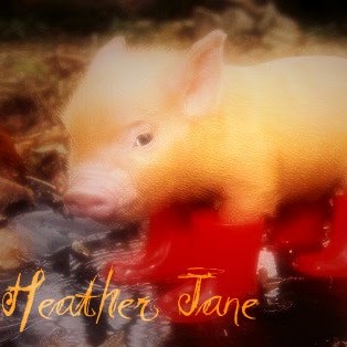 Heather Spangler Photo 34