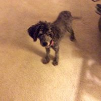 Carolyn Harrell Photo 18