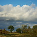 Gary Lane Photo 11