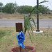 William Fritz Photo 48
