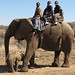 Kimberly Washburn Photo 21