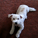 Katherine Kirby Photo 11