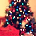 Hope Chrismas Photo 1