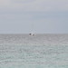 Beth Payne Photo 20