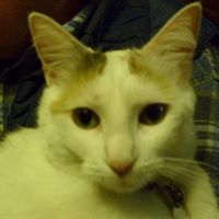 Penny Stein Photo 26