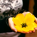 Sara Flowers Photo 19