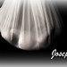 Joseph Sack Photo 13