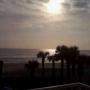 Michelle Crain Photo 20