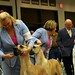 Patricia Mccombs Photo 21