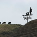 Lee Combs Photo 21
