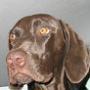 Charles Galloway Photo 49