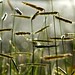 Renee Grass Photo 5