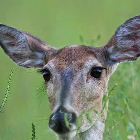 Margaret Wilkerson Photo 16