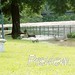 Scott Flood Photo 25