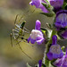 Barbara Wither Photo 9