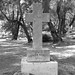 Patrick Dutton Photo 51