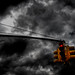Timothy Light Photo 13