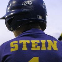 Cynthia Stein Photo 31