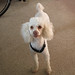 Bobby Archie Photo 12