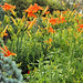 Pat Haskell Photo 9
