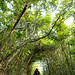 Tim Tsai Photo 8