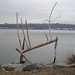 Tom Combs Photo 12