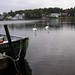 Lynn Swan Photo 18