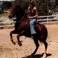 Debbie Brower Photo 13