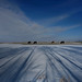 Gene Lange Photo 1