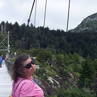 Cindy Hamrick Photo 4