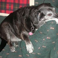 Althea Miller Photo 2