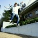 Alan Allred Photo 21