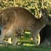 Victoria Gray Photo 9