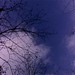 David Truby Photo 11