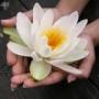 Jennifer Yohe Photo 5