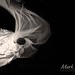 Ronald Vasquez Photo 36