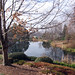 Sharon Brooks Photo 40