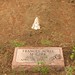 Frances Morrison Photo 10