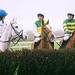 Thomas Foreman Photo 15