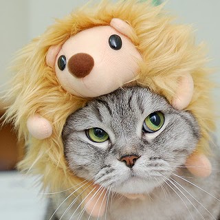 Craig Olsen Photo 43