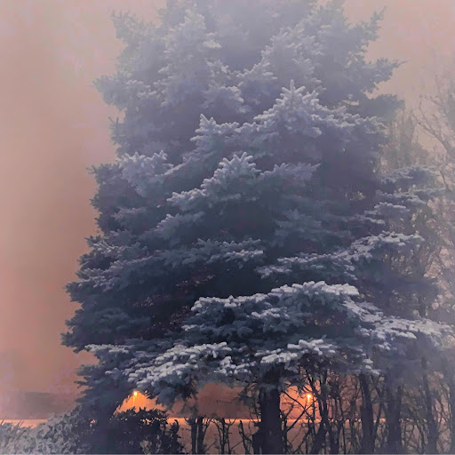 Kent Hansen Photo 16