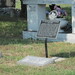 Dorothy Gilbert Photo 22