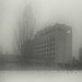 Gregory Geiger Photo 3