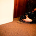 Bryan Sharpe Photo 23