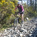 Sally Bush Photo 24