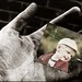 Gary Warrington Photo 12