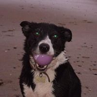Vicki Broadbent Photo 6