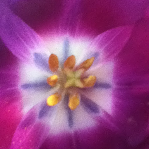 Rosie Nelson Photo 31