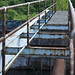 Aaron Rust Photo 14