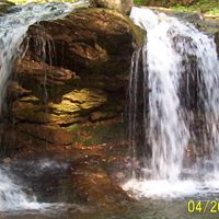 Teresa Mcghee Photo 18